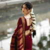 Banarasi Kanjivaram Cotton Silk Saree