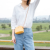 Mini Classic Crossbody Purse
