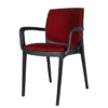 Red cushion and Black/Brown body
